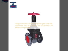 Flange-connected cast iron rising stem gate valve with copper seal, used as an opening and closing device for water and oil pipelines.