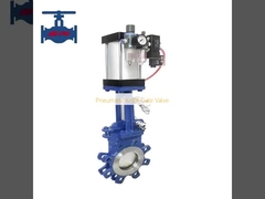 Pneumatic Knife Gate Valve