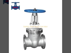 Stainless Steel Flanged Gate Valve