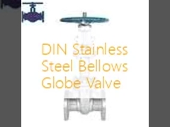 DIN Stainless Steel Bellows Globe Valve