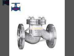 Lift Check Valve