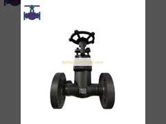 Bellow sealed gate valve 