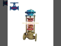 Self-operated Control Valve 