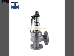 Spring-loaded safety valve