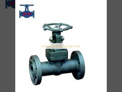 Turbo Forged Flange Gate Valve