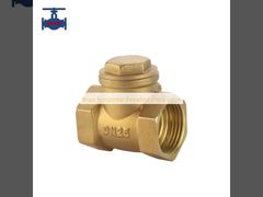 Brass horizontal threaded check valve